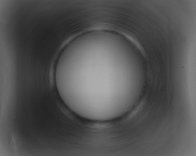 X0000101450842200807071109
