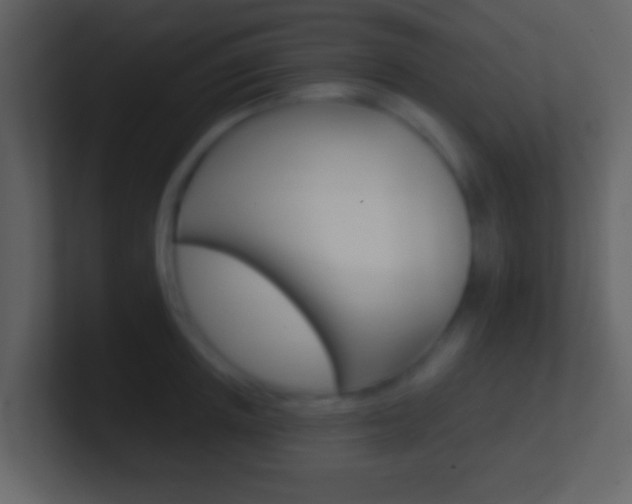 X0000101450851200807071109