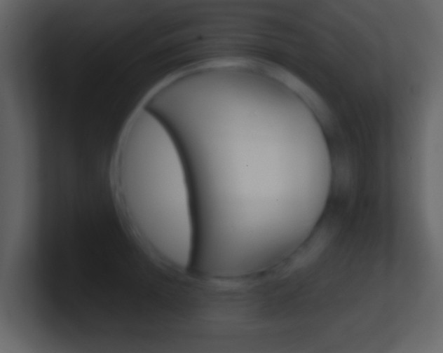 X0000101450852200807071109