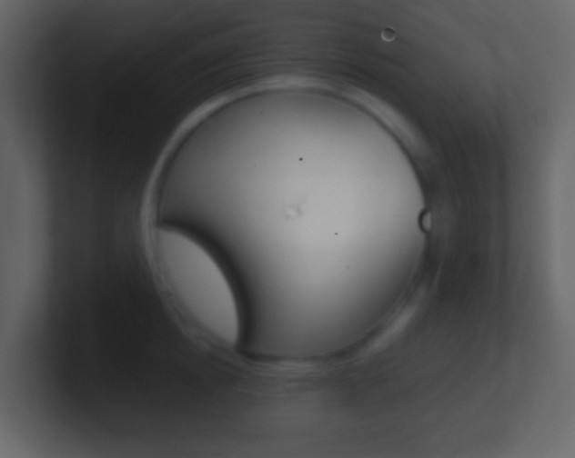 X0000101450854200807071109