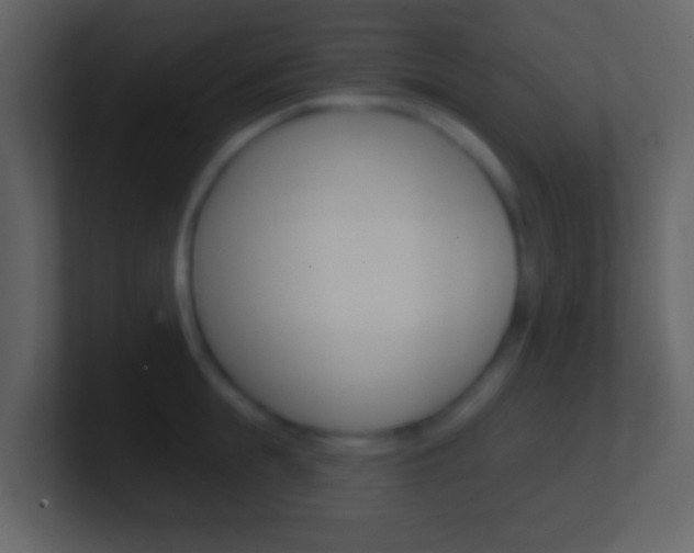 X0000101450855200807071109