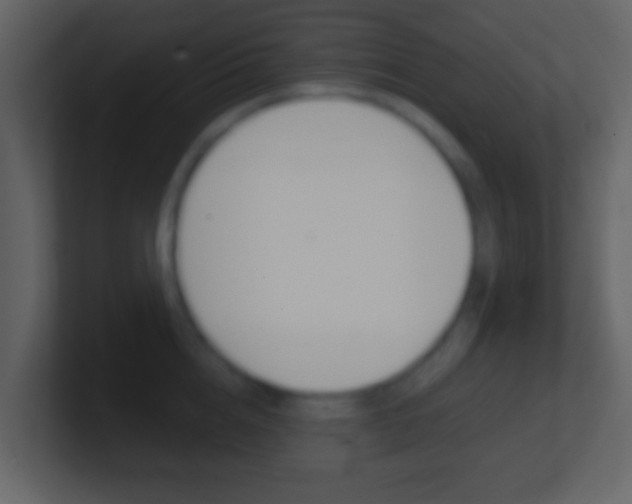 X0000101450856200807071109