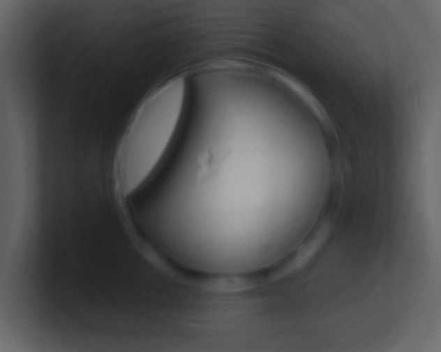 X0000101450858200807071109