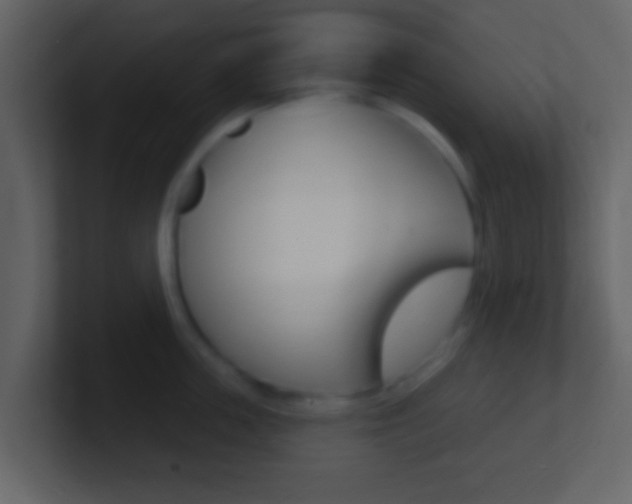 X0000101450859200807071109