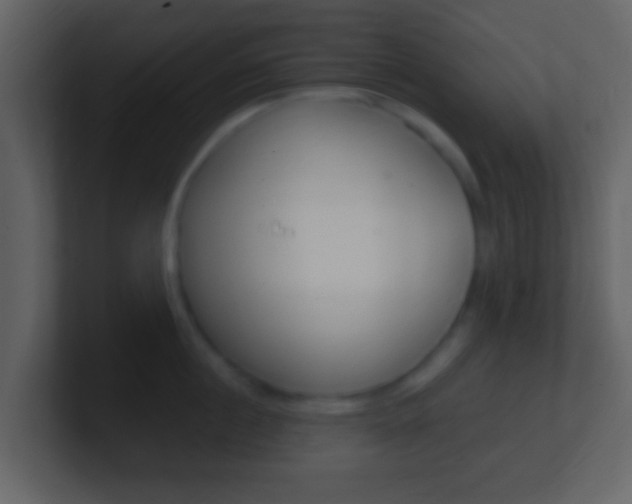 X0000101450860200807071109