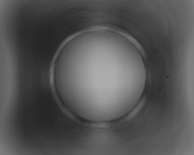 X0000101450862200807071109