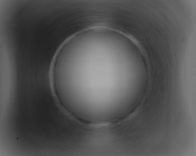 X0000101450864200807071109
