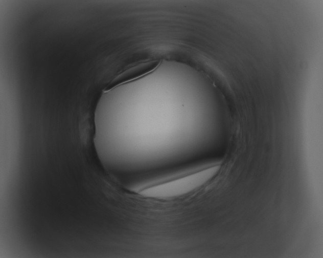 X0000101450868200807071109