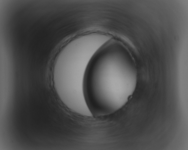 X0000101450872200807071109