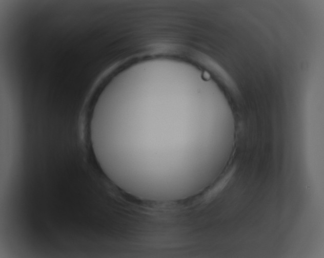 X0000101450875200807071109