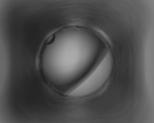X0000101450876200807071109