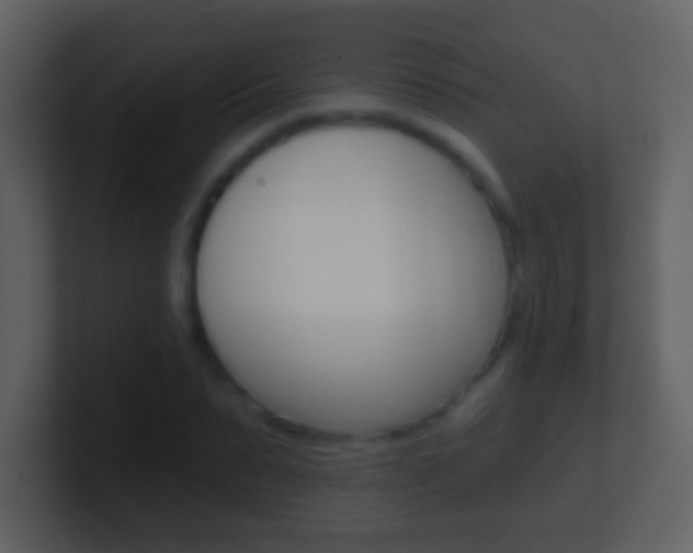 X0000101450879200807071108