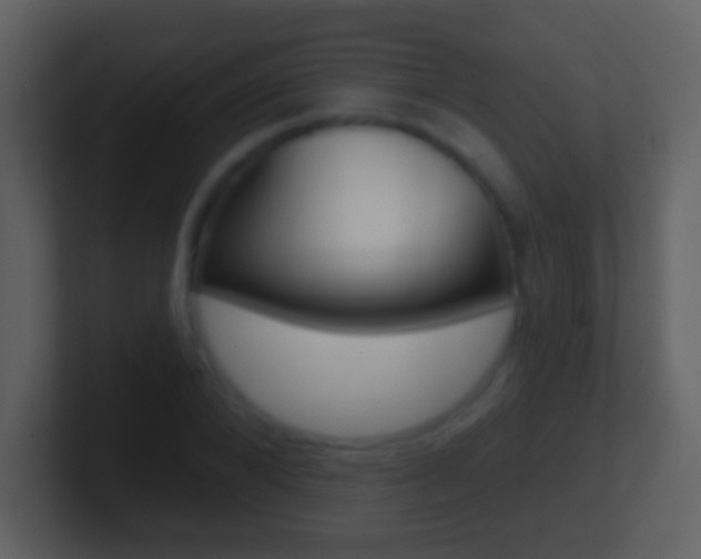 X0000101450880200807071108