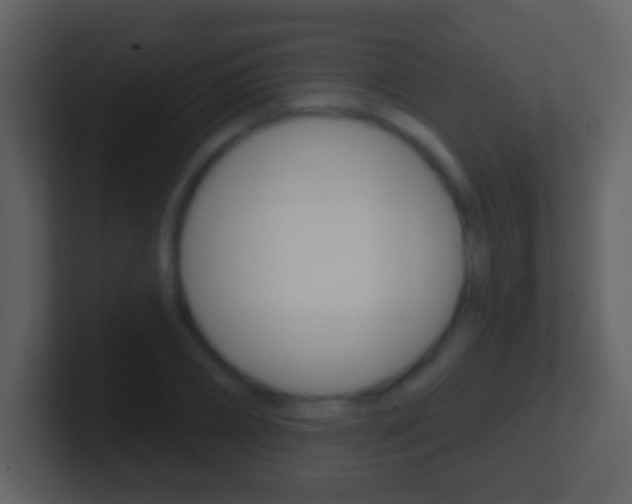 X0000101450882200807071108
