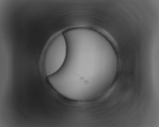 X0000101450883200807071108