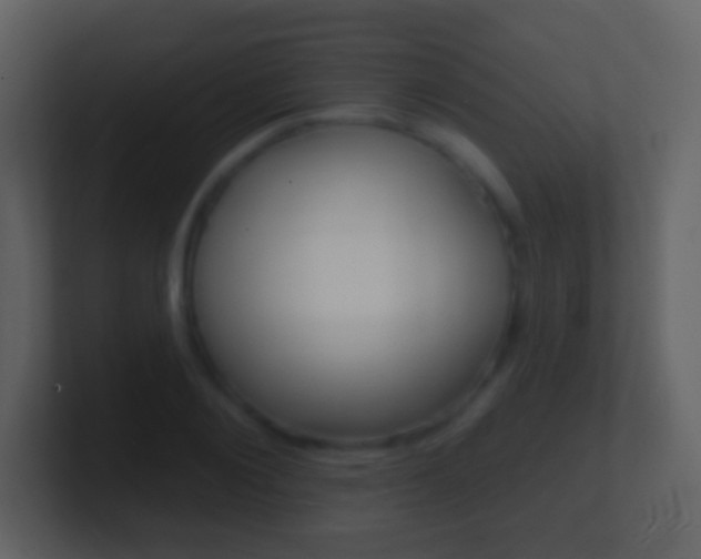 X0000101450884200807071108