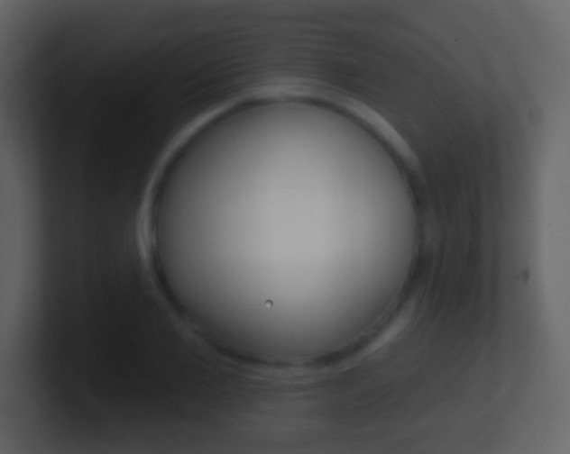 X0000101450885200807071108