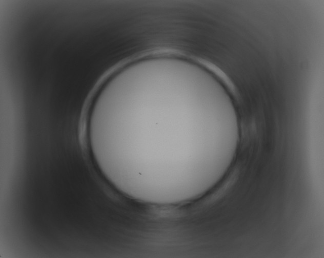 X0000101450886200807071108
