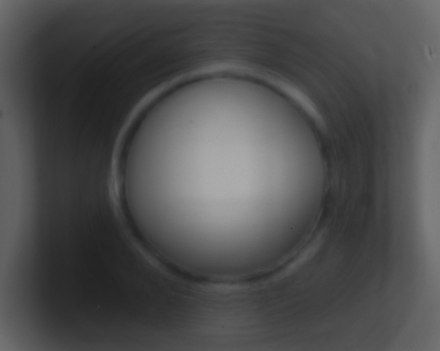 X0000101450888200807071108