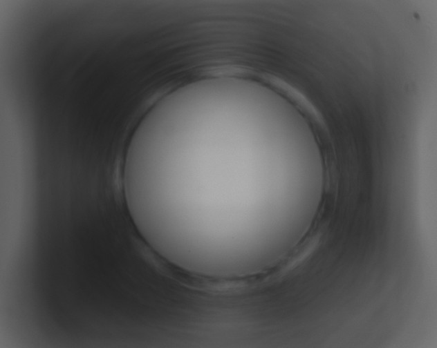 X0000101450889200807071108