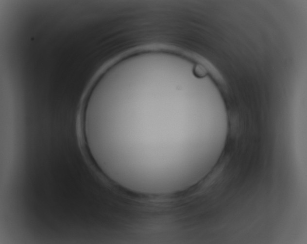 X0000101450895200807071108