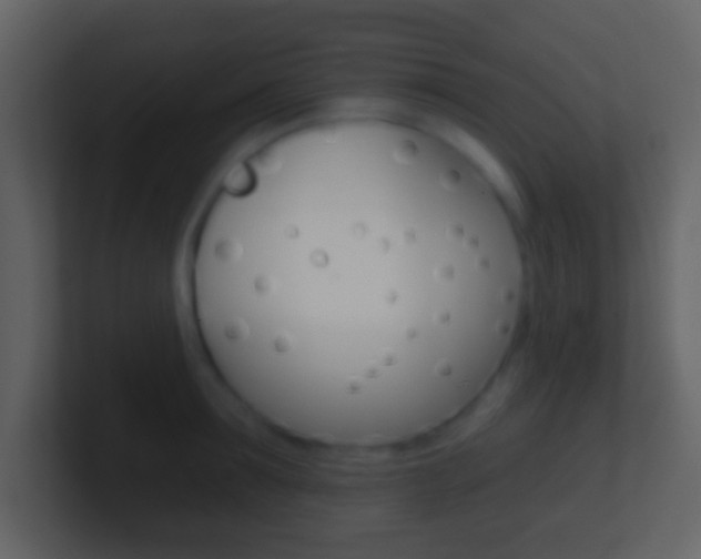 X0000101450899200807071108