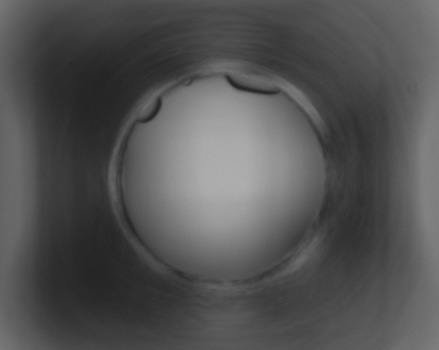 X0000101450901200807071108