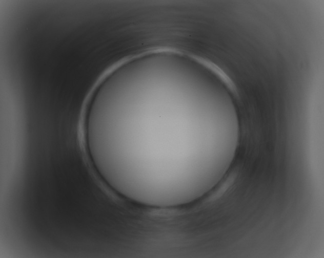 X0000101450902200807071108