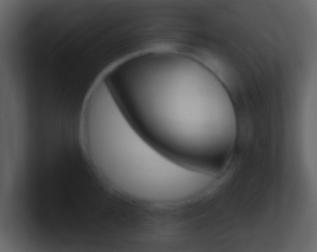 X0000101450904200807071108