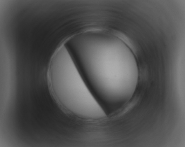 X0000101450906200807071108