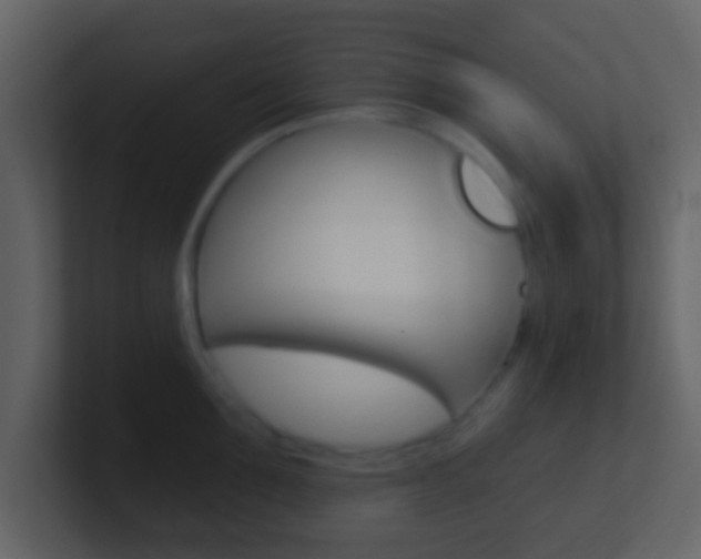 X0000101450907200807071108
