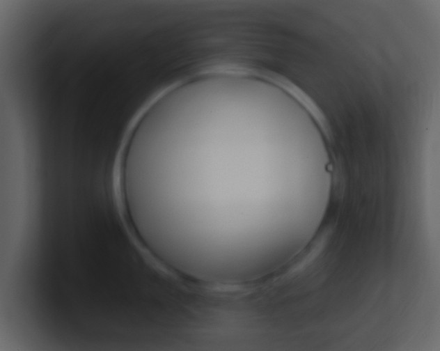X0000101450909200807071108