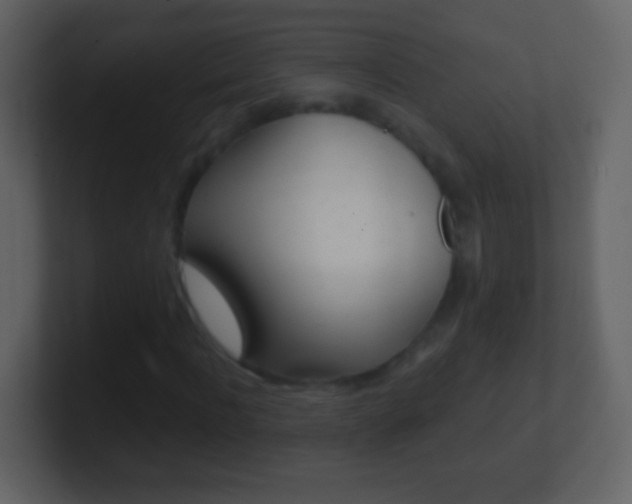 X0000101450916200807071107