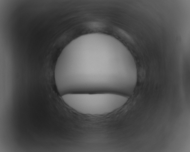 X0000101450917200807071107