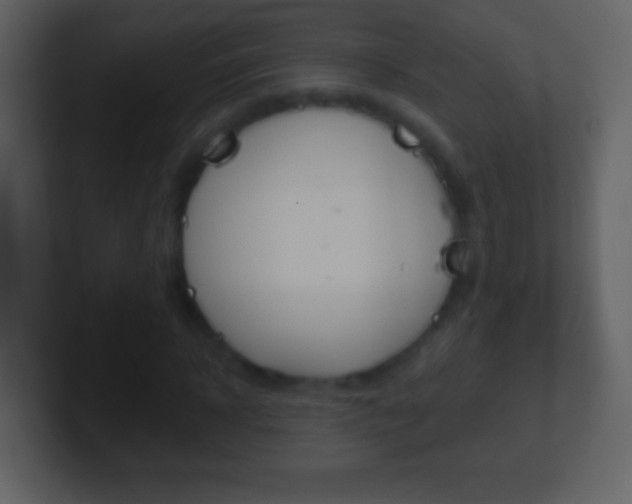 X0000101450918200807071107