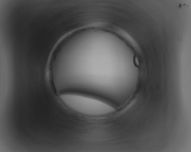 X0000101450924200807071108