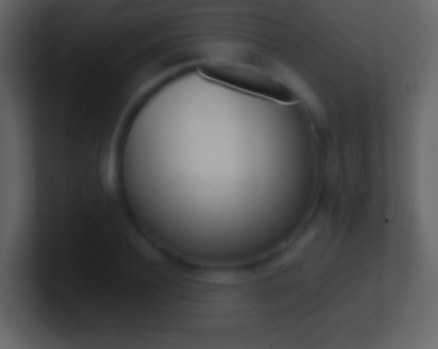 X0000101450932200807071108