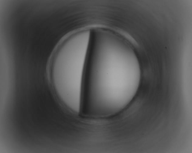 X0000101450934200807071108