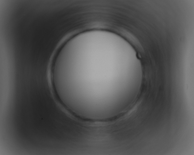 X0000101450942200807071108
