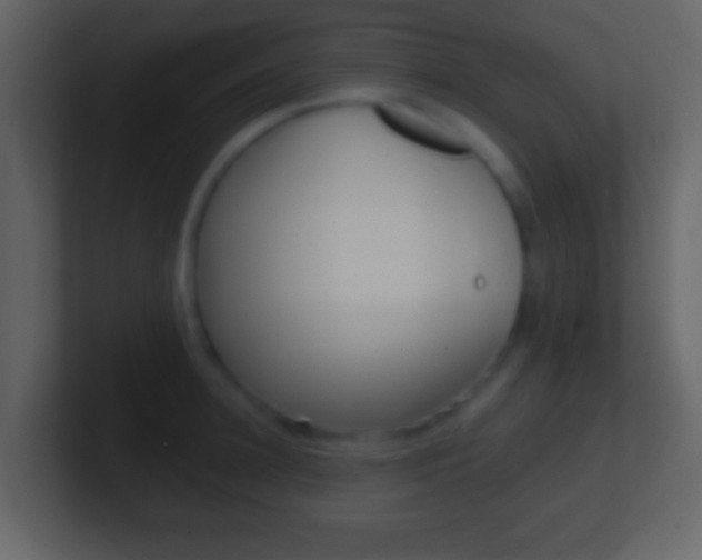 X0000101450948200807071108