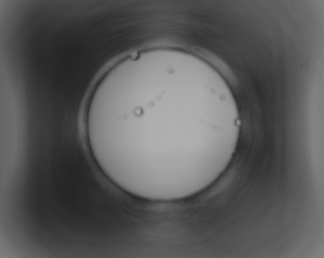 X0000101450950200807071108