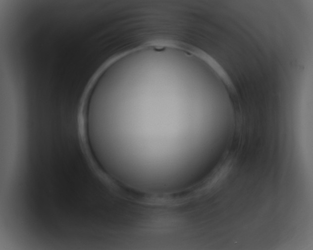 X0000101450955200807071108