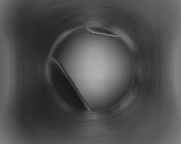 X0000101450956200807071108