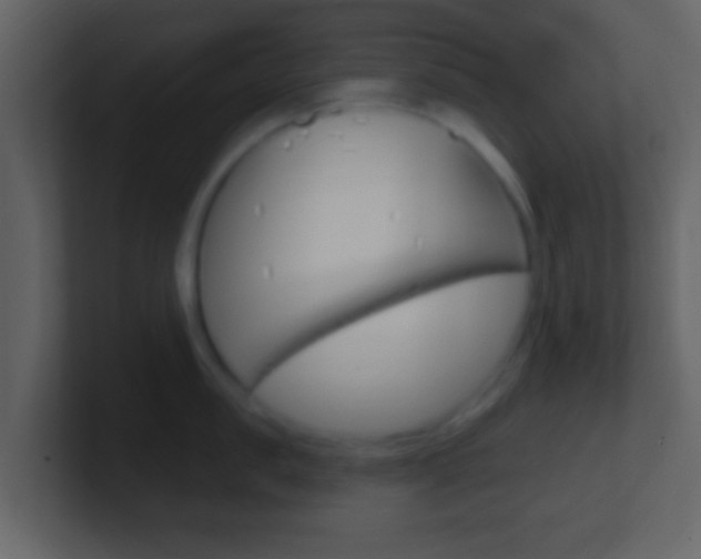 X0000101450957200807071108