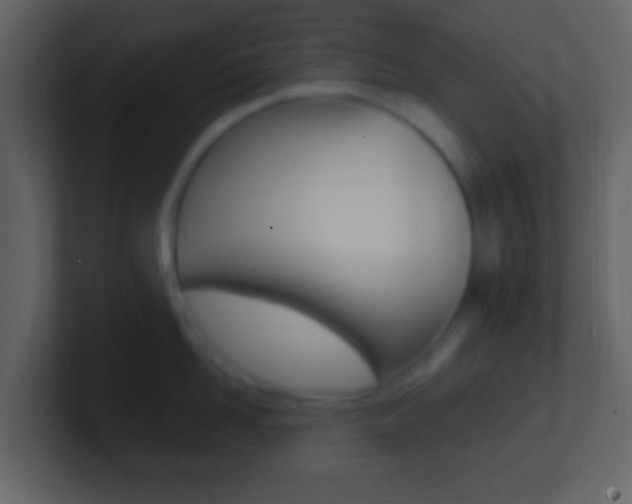 X0000101450958200807071108