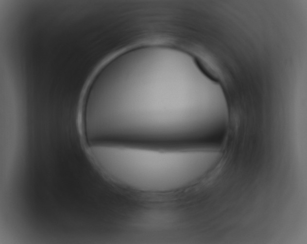 X0000101450959200807071108