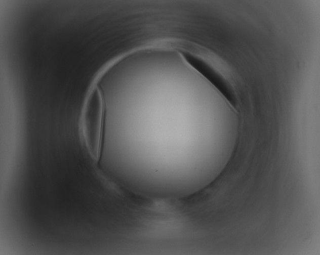 X0000101450960200807071108