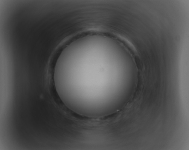 X0000101450968200807071107