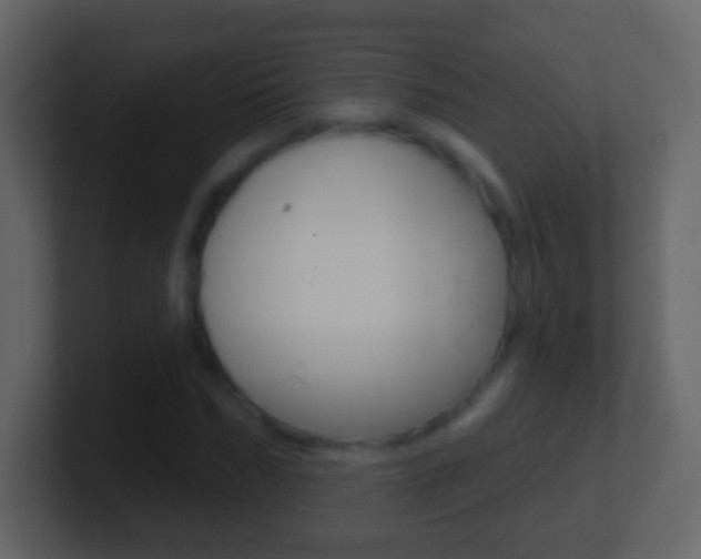 X0000101450970200807071107