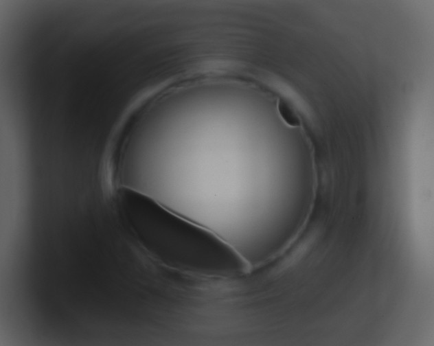 X0000101450973200807071107